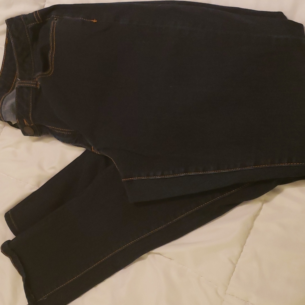 Lane Bryant Low Rise Skinny Jeans